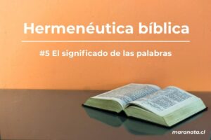 hermeneutica significado palabras