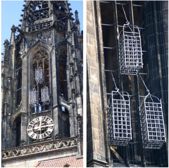 Jaulas de la iglesia de San Lamberto en Munster